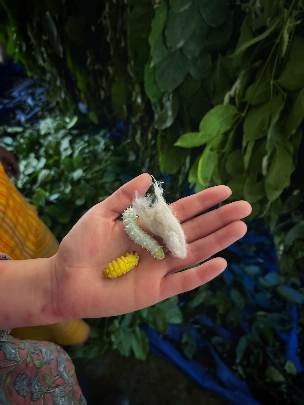 Children learning in classroom